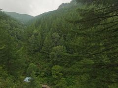 -苏木山森林公园