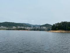 -千岛湖城中湖游船码头