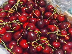 -果叔(红旗街店)