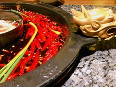 -蜀大侠火锅(建设路第五大道店)