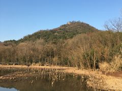 -西湖风景区-江洋畈生态公园