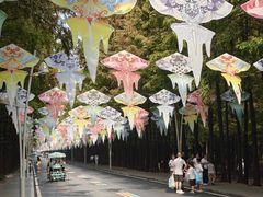 -日照海滨国家森林公园