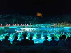 -鼎盛王朝康熙大典实景演出