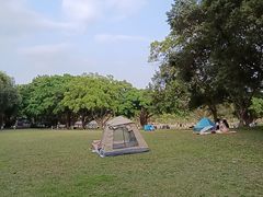 -东莞植物园
