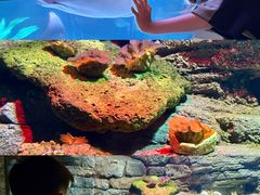 -沈阳海洋探索中心