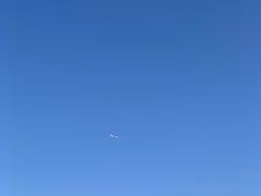 -绿野森林乐园冰雪季