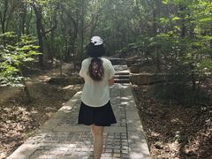 -紫金山山顶公园