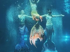 -福州罗源湾海洋世界旅游区