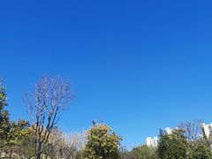 -牛岗山公园