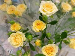 -米莱欧百货(吉利店)