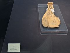 -安阳博物馆