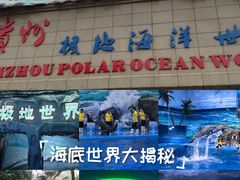 -多彩贵州城极地海洋世界