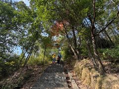 -桃花岭景区