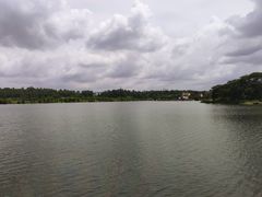 -松山湖南湖湾露营营地