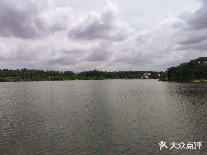 松山湖南湖湾露营营地图片
