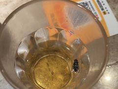 -淘米捞·米汤脆鲩鱼火锅(福田皇岗店)