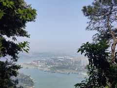 -铁山坪森林公园