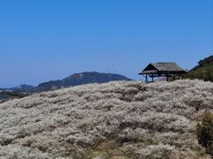 -原乡小镇度假乐园