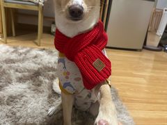 -金穗园·砂锅粥.醉鸡煲火锅(长寿路店)