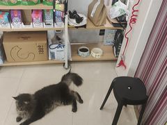 -瑞鹏·疫苗·绝育·宠物医院(金沙洲店)