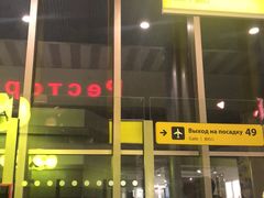 -谢列梅捷沃国际机场