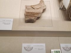 -南越王博物院(王宫展区)