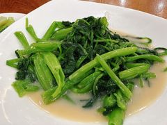 -富豪酒家(正大广场店)