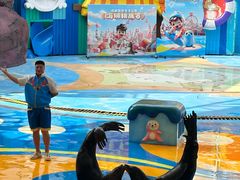 -海合安成都极地海洋公园