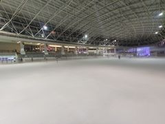 -世界之窗阿尔卑斯冰雪世界
