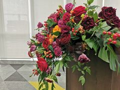 -美丽心情蛋糕(江苏路店)