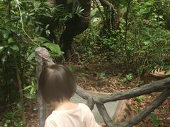 -海南热带野生动植物园
