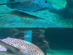 -香港海洋公园