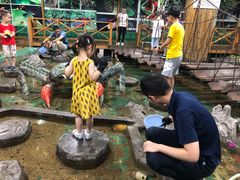 -上海大自然野生昆虫馆(东方明珠·爬宠昆虫探索中心)