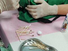 -北京观赏动物医院·24小时大型综合·猫专科·异宠专科