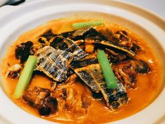 青浦甲鱼-信园