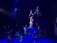 -珠海横琴长隆《卡卡虎奇遇记》