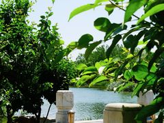 -马家湾湿地公园