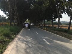 -光明小镇欢乐田园