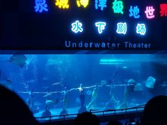 -泉城欧乐堡海洋极地世界
