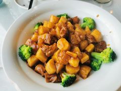 文火慢炖牛筋腩-新川办餐厅