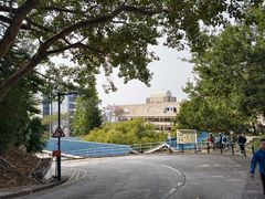 -香港大学