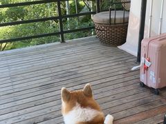 -北京山里寒舍度假酒店