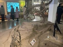 -自贡恐龙博物馆