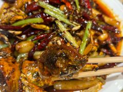 -杨氏青龙虾·羊蝎子(珠江路店)
