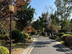 -树山生态村