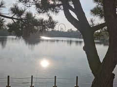 -日照海滨国家森林公园
