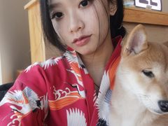 -柴犬小屋·柴餐厅·狗咖食堂(金鼎广场店)