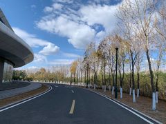 -哈尔滨大剧院