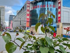 -七浦路服装批发市场