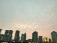 -野狸岛